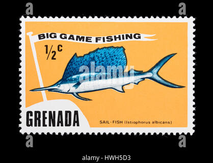 Postage stamp from Grenada depicting a sailfish (Istiophorus albicans) and sport fishing. Stock Photo
