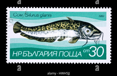 Postage stamp from Bulgaria depicting wels catfish (Silurus glanis) Stock Photo