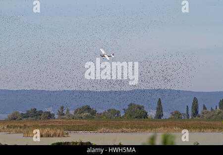 'Airplane to the starling expulsion, ?-sterreich; Austria; Burgenland; national park new colonist lake; Ilmitz; wine cultivation; vineyard; airplane;  Stock Photo
