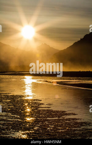 Tomorrow in the Chilkat river, the USA, the United States of America, United States of America, Alaska, grove, Chilkat soon eagles preserve, seasons,  Stock Photo