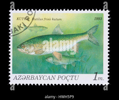 Postage stamp from Cuba depicting a redbelly tilapia (Tilapia melanopleura) Stock Photo