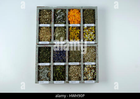 Diffrent dried herbs, miscellaneous dry herbs herbs, tea herbs, Diffrent dried herbs | Verschiedene getrocknete Kraeuter / Kräuter, Teekraeuter Stock Photo