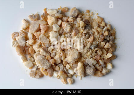 Benzoin, Styrax benzoin benzoin Sumatra free plate, cut out, object, object, inside, studio, indoor, esotericism, smoke, smoke, smoked work, smoked wo Stock Photo