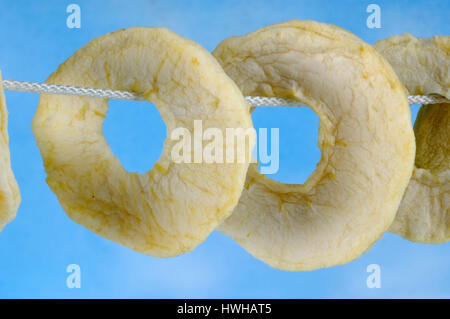 Dried Apple all around, Malus domesticus apple rings dryly dry fruits, dried fruit, dried fruit , Dried Apple rings / (Malus domesticus) / Apfelringe  Stock Photo