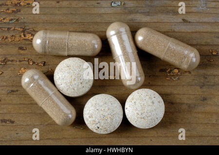 Shiitake Mushrooms. powder in a pill, homoeopathy, Lentinus edodes, Shiitake mushroom, powder in a capsule, Lentinus edodes food mushrooms, Shiitakepi Stock Photo