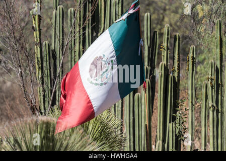 Bandera de Mexico. Mexican Flag . Baseball action during the Los Angeles  Dodgers game against San Diego Padres, the second game of the Major League  Ba Stock Photo - Alamy