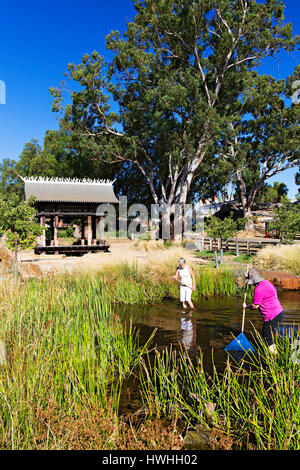 The Avoca Chinese Garden opened on the 11/10/2014.The garden pays homage to the thousands of Chinese who passed through Avoca seeking their fortune Stock Photo