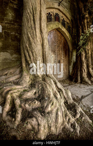 Yew trees flanking door in the north porch of St Edwards parish church in Stow on the Wold Gloucestershire  - inspiration for Tolkien's Moria door? Stock Photo