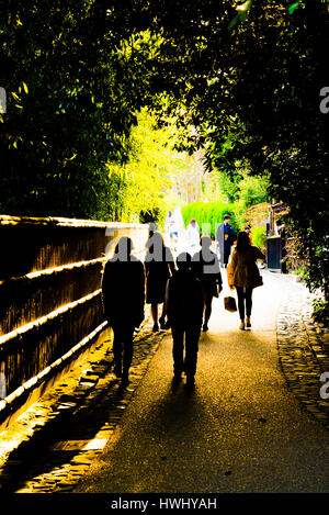 Tpurists crossing the Bamboo Forest during sunset in rural Kyoto Stock Photo