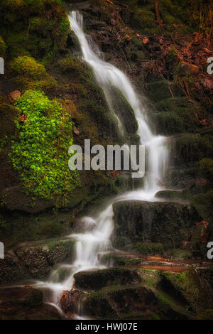 Lush greens, Autumn leaves and waterfalls at Melincourt Brook in Resolven, South Wales Stock Photo