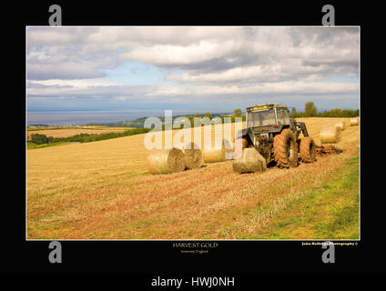 Harvest time in Somerset uk Stock Photo