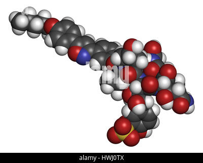 Micafungin antifungal drug molecule. 3D rendering. Atoms are represented as spheres with conventional color coding: hydrogen (white), carbon (grey), n Stock Photo