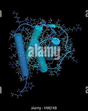 Interleukin 13 (IL-13) cytokine protein. 3D illustration. Cartoon & wireframe representation. N-term to C-term gradient coloring. Stock Photo