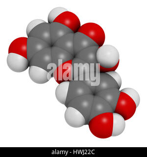 Quercetin plant molecule. 3D rendering.  Atoms are represented as spheres with conventional color coding: hydrogen (white), carbon (grey), oxygen (red Stock Photo