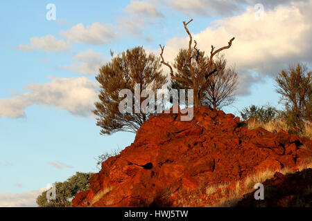 Glowing red rock face and bush at sunset near Mount Nameless in Tom Price Western Australia Stock Photo