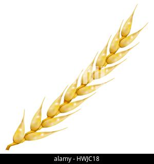 Photo realistic ear of wheat isolated on white background, vector illustration. Stock Vector