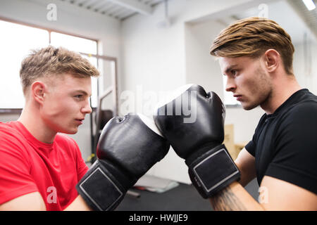 Two fit handsome men boxing. Two athlete boxers wearing boxing gloves sparred in boxing gym. Stock Photo