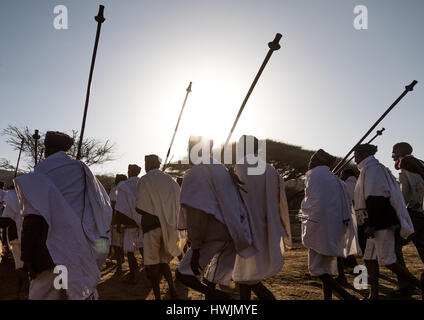 Borana tribe men with their ororo sticks during the Gada system ceremony, Oromia, Yabelo, Ethiopia Stock Photo