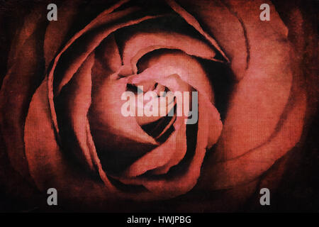 Digital watercolour of a red rose, with added texture to resemble an old paining. Romantic and nostalgic theme. Stock Photo