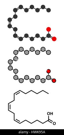 Gamma-linolenic acid (GLA, gamolenic acid) molecule. Stylized 2D renderings and conventional skeletal formula. Omega-6 fatty acid present in many vege Stock Vector