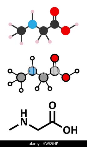Sarcosine (N-methylglycine) molecule. Stylized 2D renderings and conventional skeletal formula. Stock Vector
