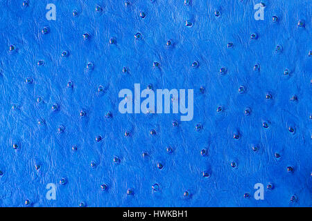 Texture of genuine Ostrich Stamped leather close-up, fashion, exotic background, backdrop, substrate, composition use Stock Photo