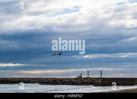 Seagull flying against blue dramatic cloudy sky, over the sea Stock Photo