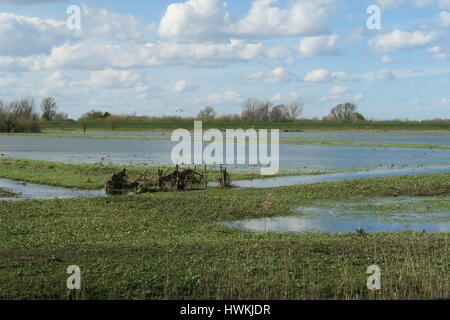 Ouse Washes at Sutton Gault in Cambridgeshire Stock Photo