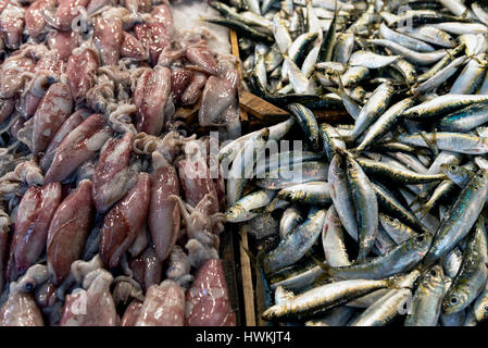 Squids and sardines on ice Stock Photo
