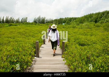 Traveler thai woman walking on wooden bridge for travel and visit Golden Mangrove Field thai name Tung Prong Thong Forest local Pak Nam Prasae town in Stock Photo