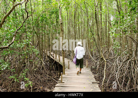 Traveler thai woman walking on wooden bridge in Mangrove forest or Intertidal forest for visit Golden Mangrove Field thai name Tung Prong Thong Forest Stock Photo