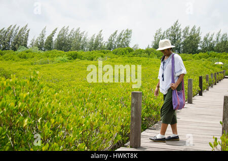 Traveler thai woman walking on wooden bridge for travel and visit Golden Mangrove Field thai name Tung Prong Thong Forest local Pak Nam Prasae town in Stock Photo