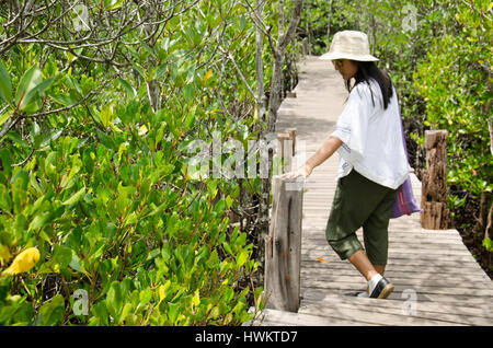 Traveler thai woman walking on wooden bridge for travel and visit Golden Mangrove Field thai name Tung Prong Thong Forest local Pak Nam Prasae town in Stock Photo