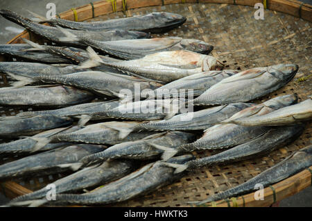 Dried raw fish preserves for sale at vendors seafood shop in Ang Sila jetty local market in Chonburi, Thailand. Stock Photo