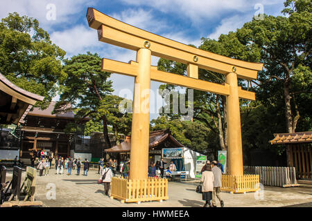 meiji, jingu, shrine, shinto, tokyo, japan, autumn, leaves, momiji, red, momijigari, fall, colors, foliage, leaf, peeping, koyo, kanpukai, maple, asia Stock Photo