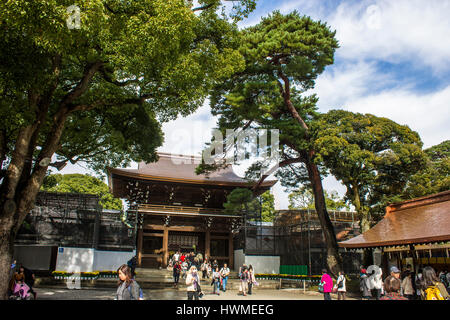 meiji, jingu, shrine, shinto, tokyo, japan, autumn, leaves, momiji, red, momijigari, fall, colors, foliage, leaf, peeping, koyo, kanpukai, maple, asia Stock Photo