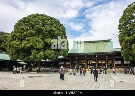 meiji, jingu, shrine, shinto, tokyo, japan, autumn, leaves, momiji, red, momijigari, fall, colors, foliage, leaf, peeping, koyo, kanpukai, maple, asia Stock Photo