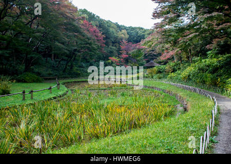 Inner Gardens of Meiji Jingu, one of the most famous and important shrines in Tokyo, Japan. Stock Photo