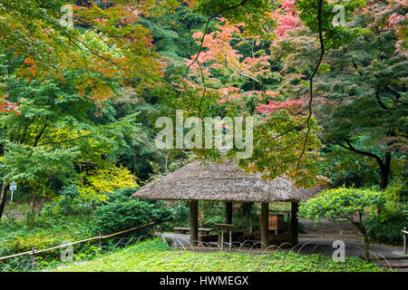 Inner Gardens of Meiji Jingu, one of the most famous and important shrines in Tokyo, Japan. Stock Photo