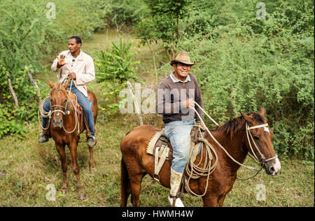 Trinidad, Cuba - January 14, 2016: Trinidad's residents still use horses for transportation. Cuba has one of lowest vehicle per capita rates in the wo Stock Photo