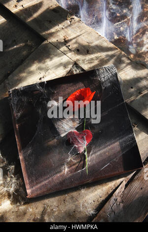 Red field poppy, two hearts, and rusty tin lid wrapped in cobweb on old wooden door Stock Photo
