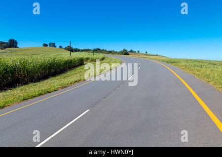Rural asphalt country road running through sugar cane fields against blue sky in South Africa Stock Photo