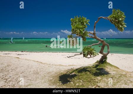 Mauritius, Western Mauritius, Le Morne Peninsula, windsurfers Stock Photo