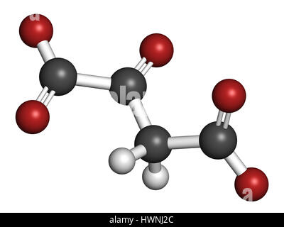 Oxaloacetic acid (oxaloacetate) metabolic intermediate molecule. 3D rendering. Atoms are represented as spheres with conventional color coding: hydrog Stock Photo