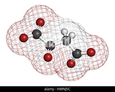 Oxaloacetic acid (oxaloacetate) metabolic intermediate molecule. 3D rendering. Atoms are represented as spheres with conventional color coding: hydrog Stock Photo