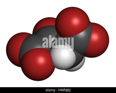 Oxaloacetic acid (oxaloacetate) metabolic intermediate molecule. 3D rendering. Atoms are represented as spheres with conventional color coding: hydrog Stock Photo