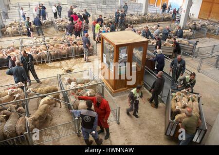 France, Haute Loire, Saugues, step on the Via Podiensis to Santiago de Compostela, Covered cattle market Stock Photo