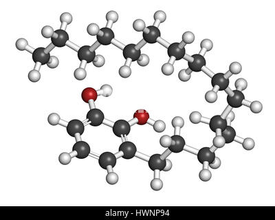 Urushiol poison ivy allergen molecule. Also present in poison oak, lacquer tree and poison sumac. Urushiol is a mixture of closely related components, Stock Photo