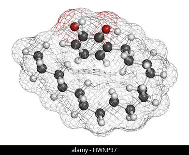 Urushiol poison ivy allergen molecule. Also present in poison oak, lacquer tree and poison sumac. Urushiol is a mixture of closely related components, Stock Photo