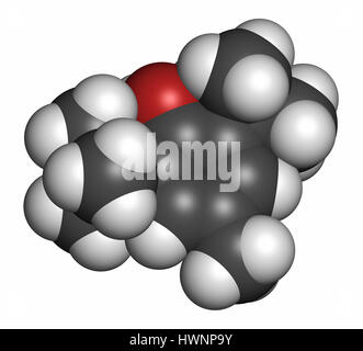 Butylated hydroxytoluene (BHT) antioxidant molecule. 3D rendering. Atoms are represented as spheres with conventional color coding: hydrogen (white),  Stock Photo